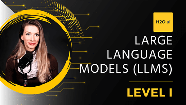 Large Language Models (LLMs) - Level 1